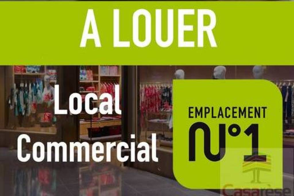 Loue local commercial pour profession médicales VERNAISON