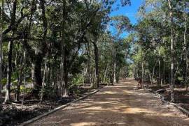 Premium Residential Lots for Sale