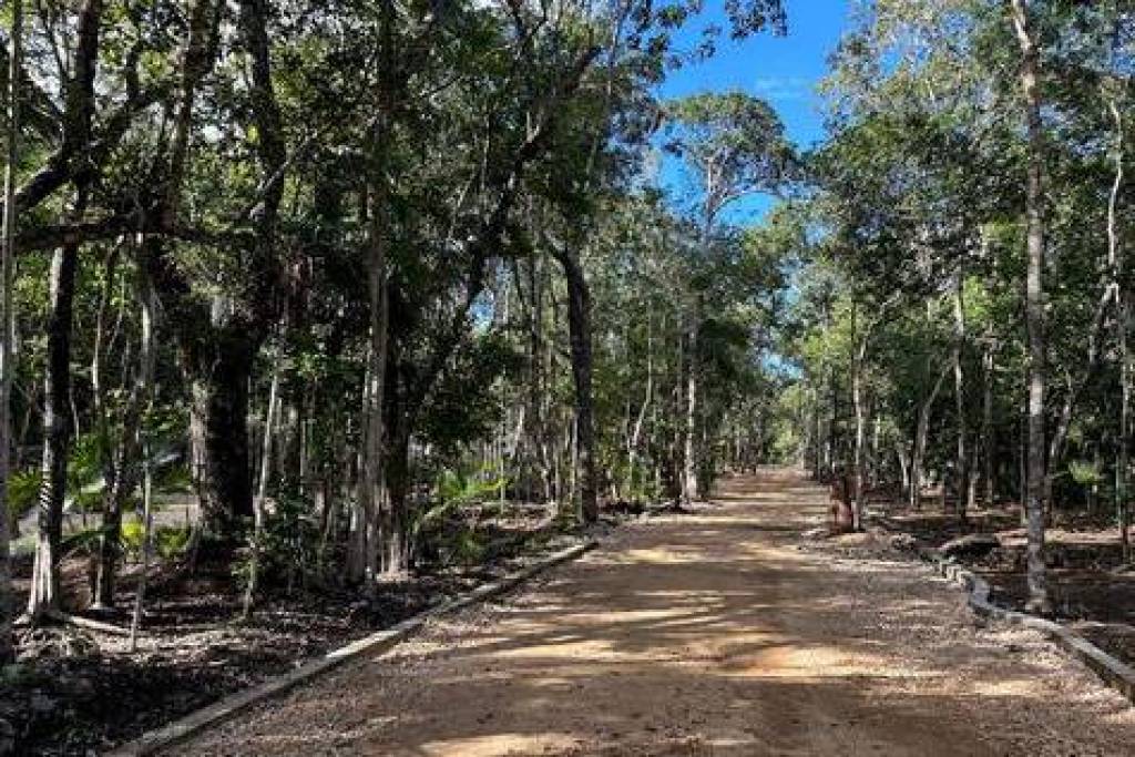 Premium Residential Lots for Sale