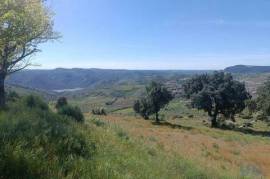 Terreno em Freixo de Espada à Cinta e Mazouco de 49572,00 m²
