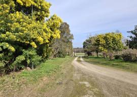 Detached Country House With Open Views