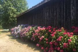 13th Century Manor House with Guest House and More
