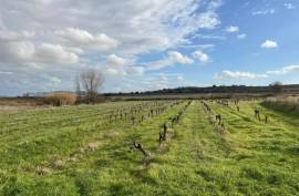 Building land for sale in Pouzolles - 160 000 € *