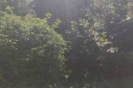 Rural 2-Storey brick house, 4600m2 land, Shumen region