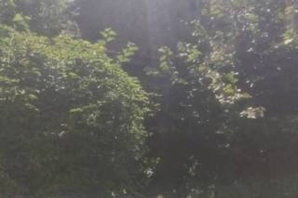 Rural 2-Storey brick house, 4600m2 land, Shumen region