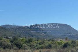Rustic building plot of 16,654 m² in GALDENT-LLUCMAJOR