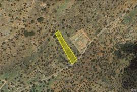 Seaview building plot