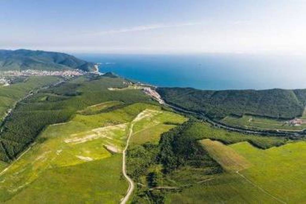 Г. Анапа, с. Сукко участок 4,8Га