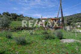 Plot 567 sq.m for sale