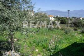 Plot 567 sq.m for sale