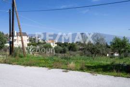 Plot 567 sq.m for sale