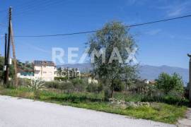Plot 567 sq.m for sale