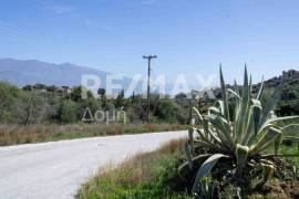 Plot 567 sq.m for sale