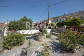 House 387 sq.m for sale