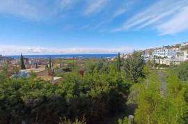 House (Detached) in Chlorakas, Paphos for Sale
