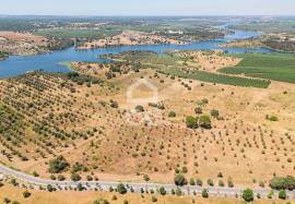 Land Avis
