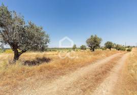 Land Avis