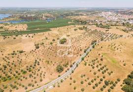 Land Avis