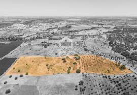 Land Avis
