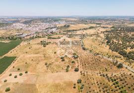 Land Avis