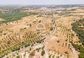Land Avis