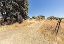 Land Avis