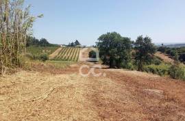 Land Óbidos Usseira