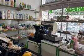 Mini-market/Grocery Store Trespass - Falagueira