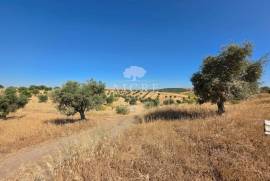 EDIA ESTATE WITH IRRIGATION