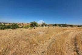 EDIA ESTATE WITH IRRIGATION