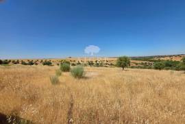 EDIA ESTATE WITH IRRIGATION