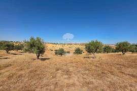 EDIA ESTATE WITH IRRIGATION