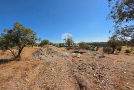 EDIA ESTATE WITH IRRIGATION