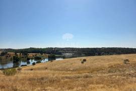 EDIA ESTATE WITH IRRIGATION