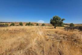 EDIA ESTATE WITH IRRIGATION