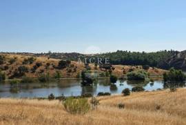 EDIA ESTATE WITH IRRIGATION