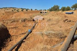 EDIA ESTATE WITH IRRIGATION