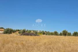 EDIA ESTATE WITH IRRIGATION