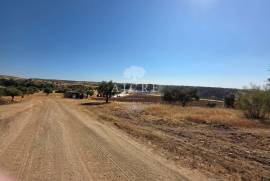 EDIA ESTATE WITH IRRIGATION