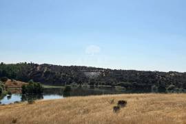 EDIA ESTATE WITH IRRIGATION