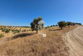 EDIA ESTATE WITH IRRIGATION