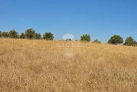 EDIA ESTATE WITH IRRIGATION
