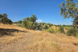 EDIA ESTATE WITH IRRIGATION