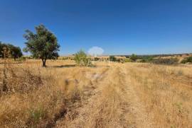 EDIA ESTATE WITH IRRIGATION