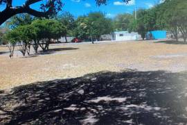 Beachfront Property With development potential For Sale In Azua Dominican