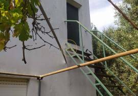 Land with 2 villas in large enclosed enclosure