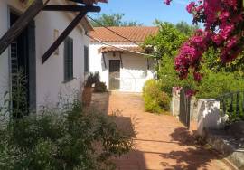 Land with 2 villas in large enclosed enclosure