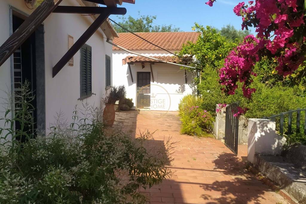 Land with 2 villas in large enclosed enclosure