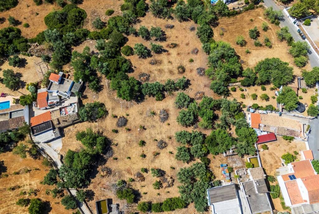 Loulé: Large plot for sale in Urban area