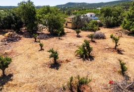 Loulé: Large plot for sale in Urban area